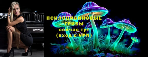 a pvp Арсеньев