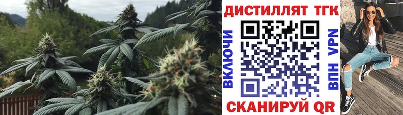 ТГК THC oil Новосокольники
